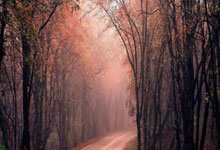 新赛季重回浙江队 童磊发文告别泰山队.