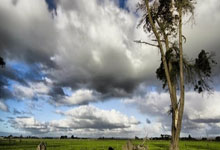 虎扑足球官网：本赛季中超赛程走完1／3：“上海双雄”展现恐怖实力.