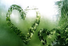 中俄武者在竞技中增进友谊.